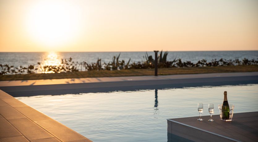 Photo of Olea Europaea