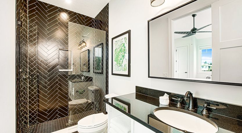 Photo of Siesta Dream