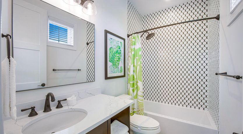 Photo of Siesta Dream