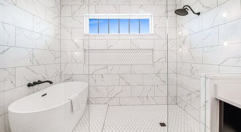 Photo of Siesta Dream