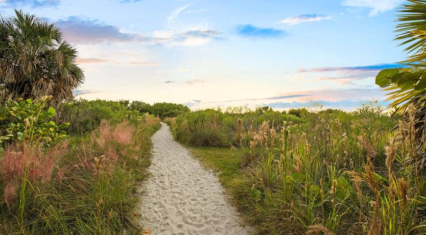 Photo of Siesta Dream