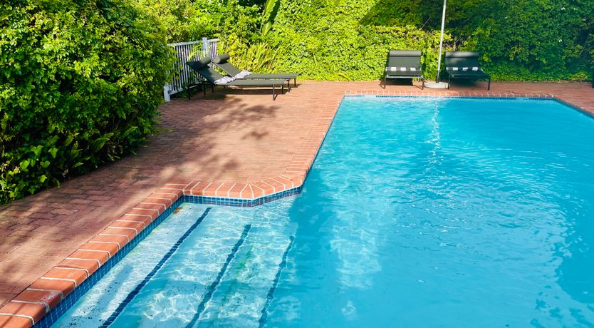 Photo of Just the Tonic