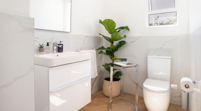 Photo of Just the Tonic