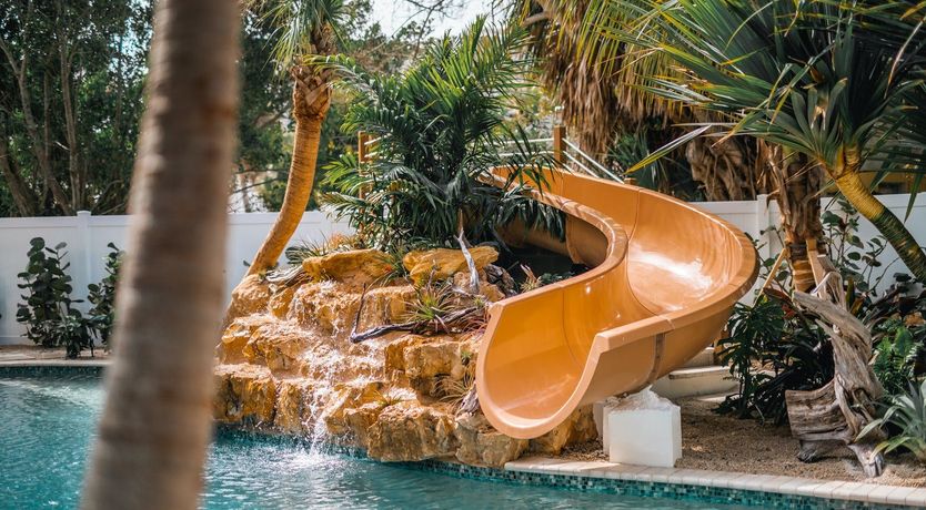 Photo of Turn to the Light