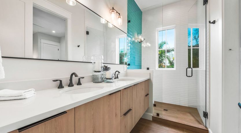 Photo of Turn to the Light