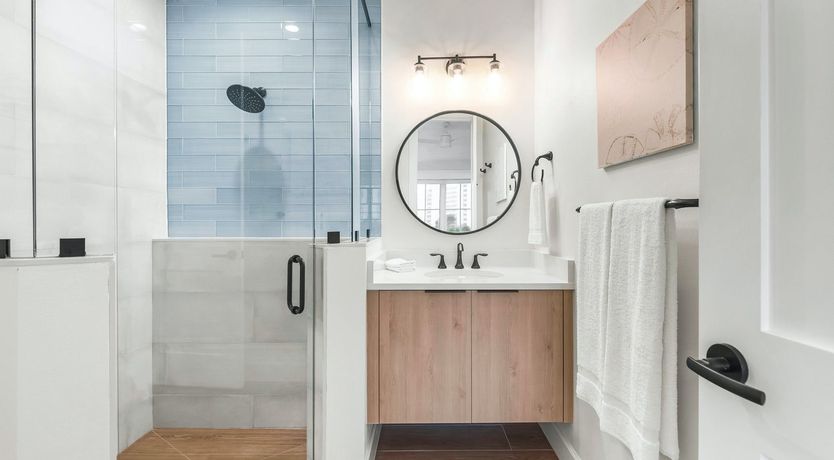 Photo of Turn to the Light