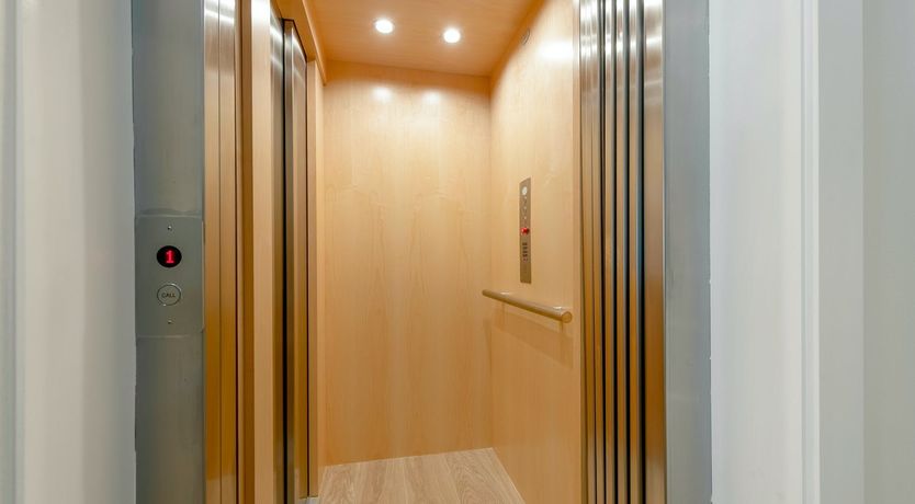 Photo of Turn to the Light