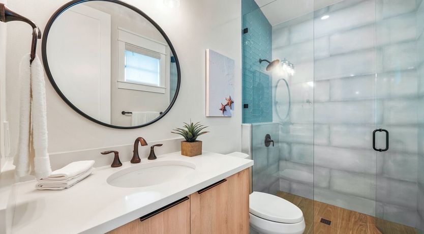 Photo of Turn to the Light