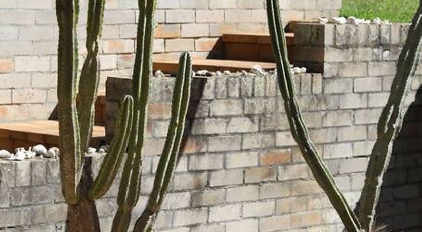 Photo of Infinite Perch