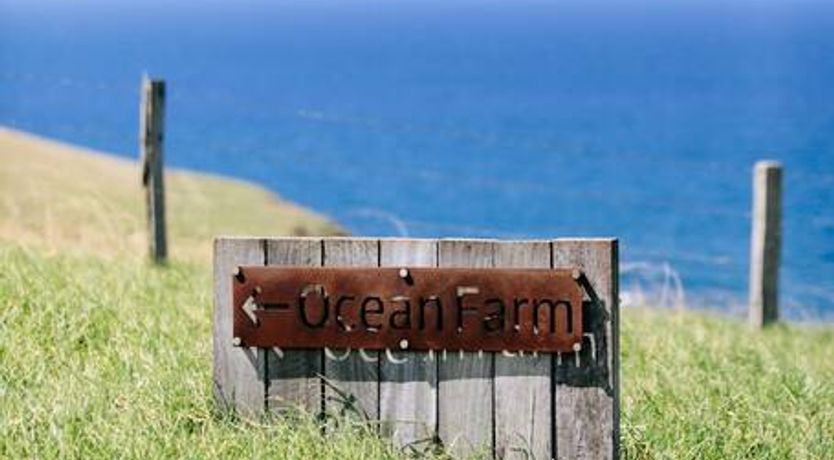 Photo of Infinite Perch