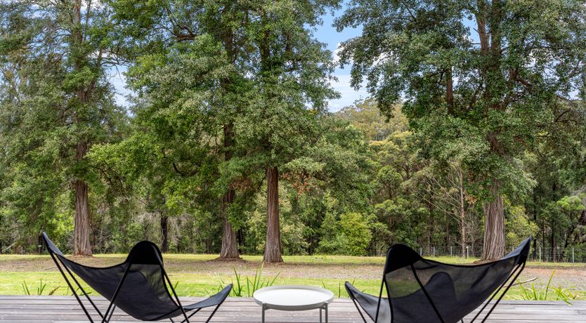 Photo of The Great Surf