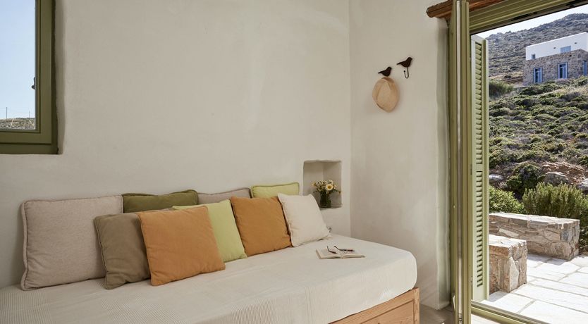 Photo of Among the Olive Branches