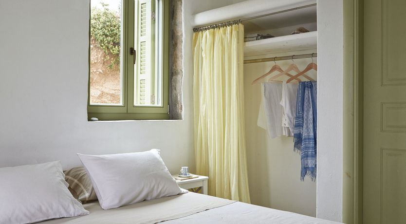 Photo of Among the Olive Branches