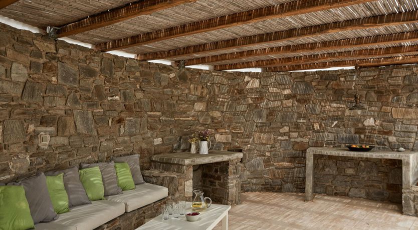 Photo of Among the Olive Branches