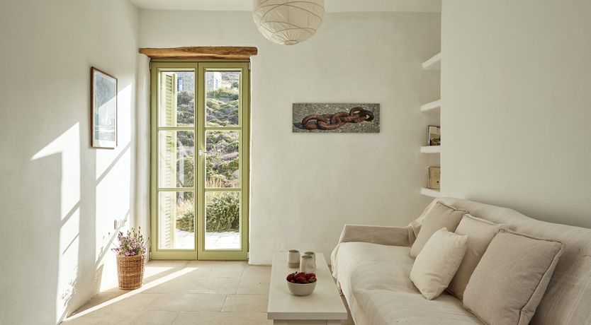 Photo of Among the Olive Branches