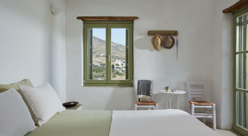 Photo of Among the Olive Branches