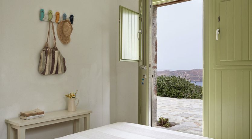 Photo of Among the Olive Branches