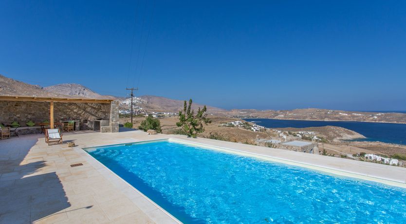 Photo of Among the Olive Branches