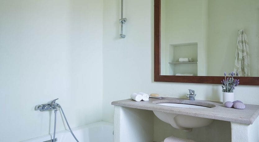 Photo of Among the Olive Branches