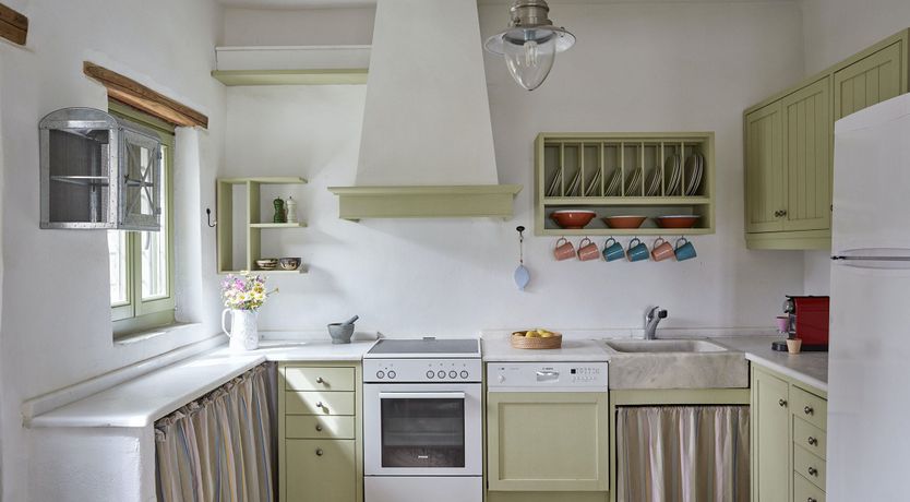 Photo of Among the Olive Branches