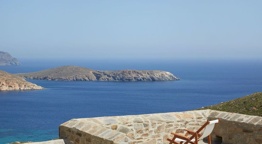 Photo of Among the Olive Branches