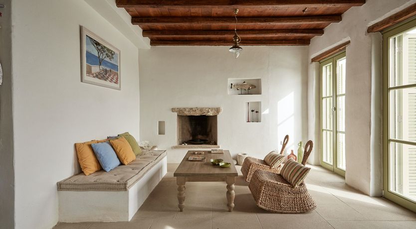 Photo of Among the Olive Branches