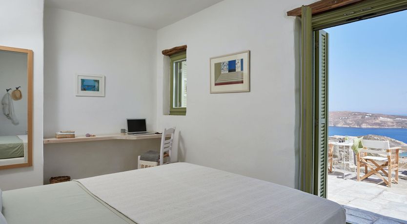 Photo of Among the Olive Branches