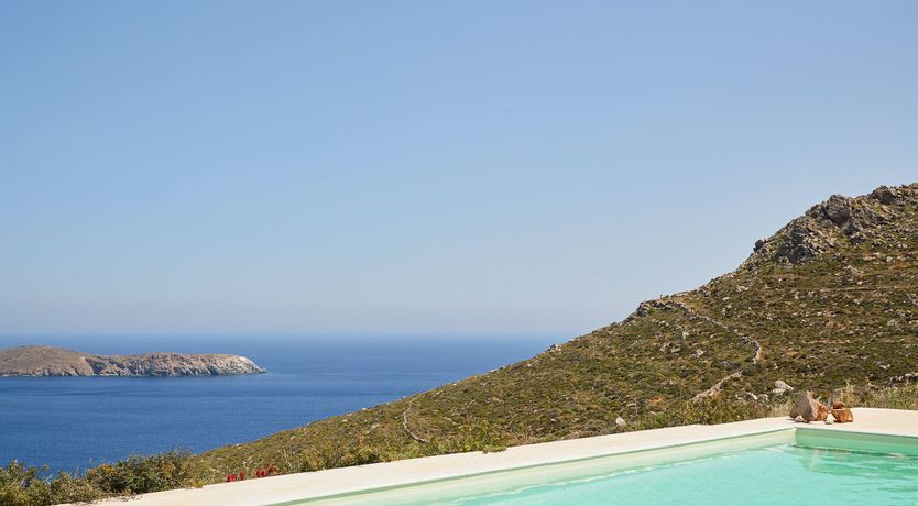 Photo of Among the Olive Branches