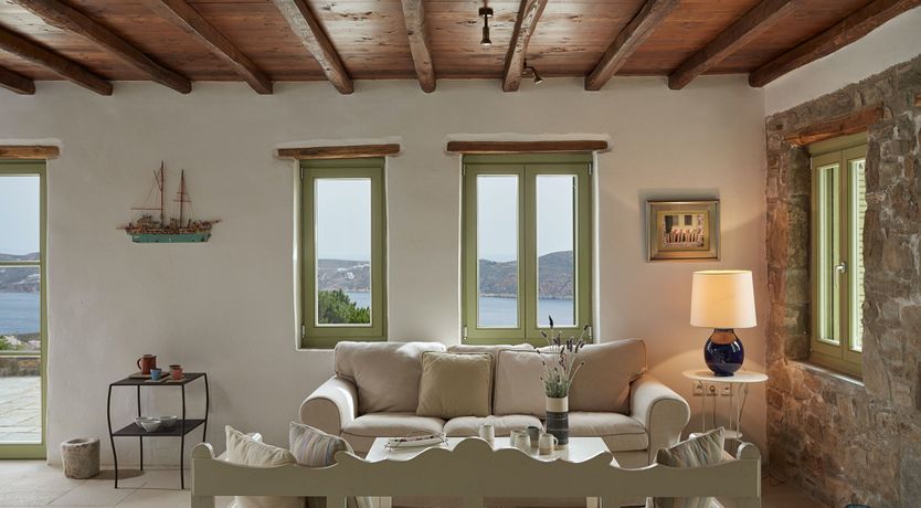 Photo of Among the Olive Branches