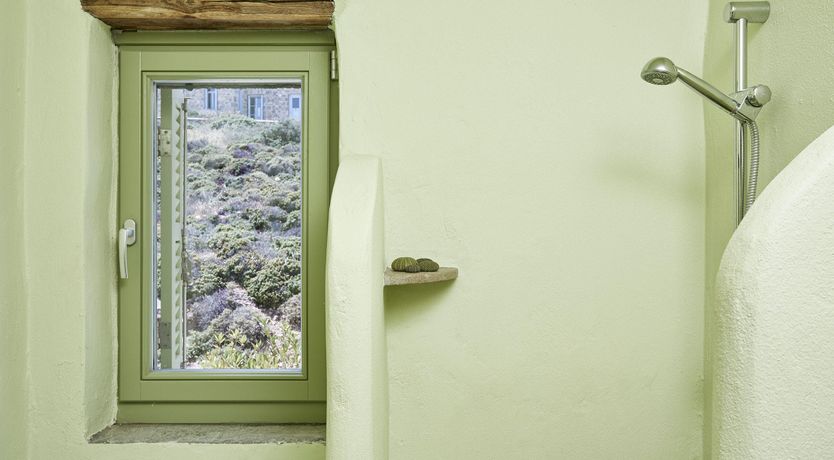 Photo of Among the Olive Branches