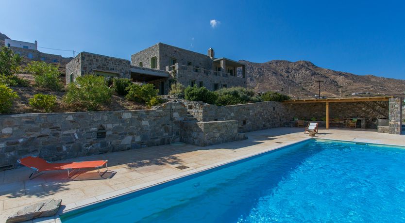 Photo of Among the Olive Branches