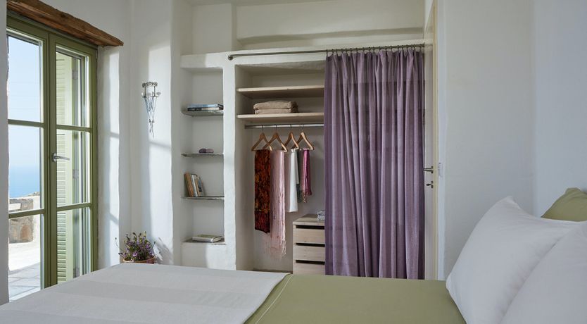 Photo of Among the Olive Branches