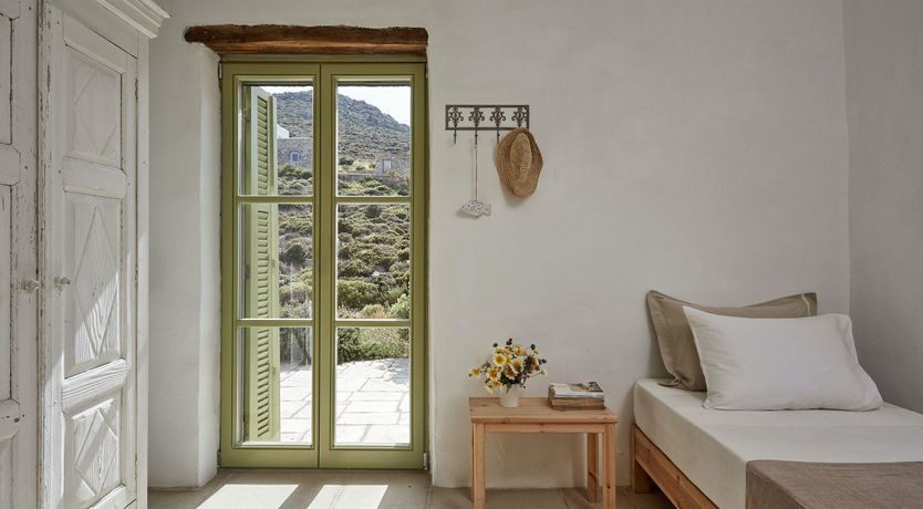 Photo of Among the Olive Branches