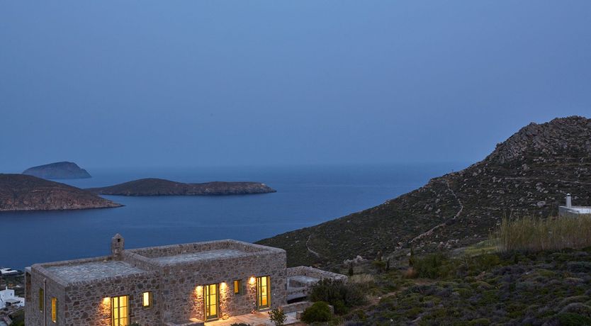 Photo of Among the Olive Branches