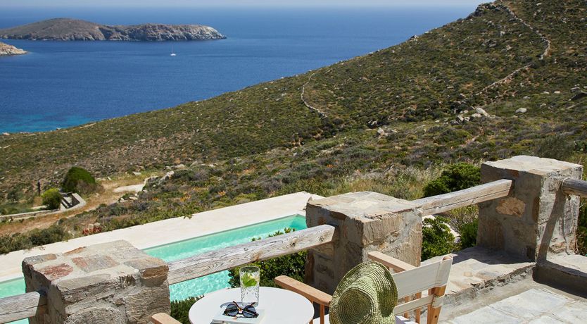 Photo of Among the Olive Branches