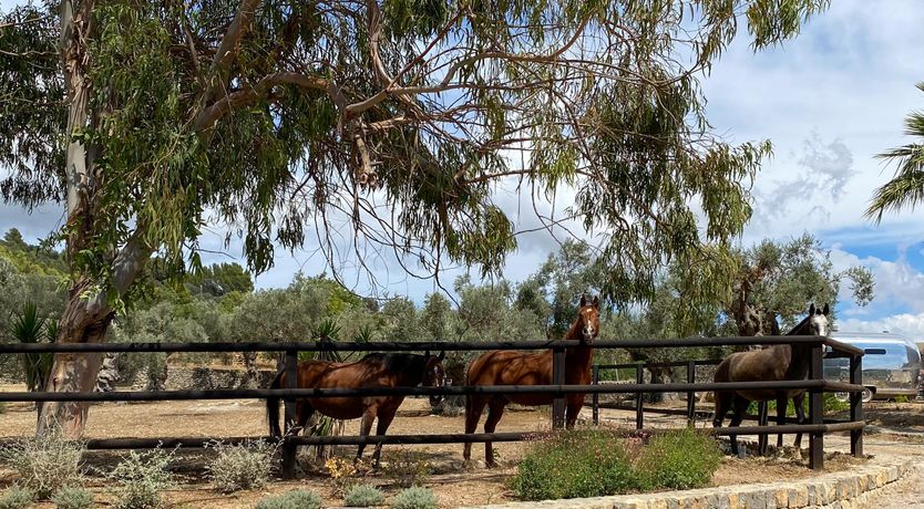 Photo of Balearic Splendour