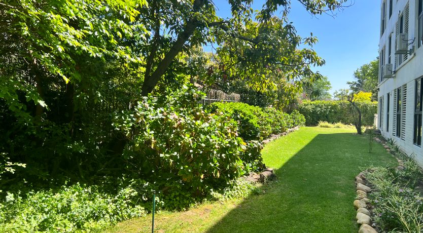 Photo of Paths Between Even Grass