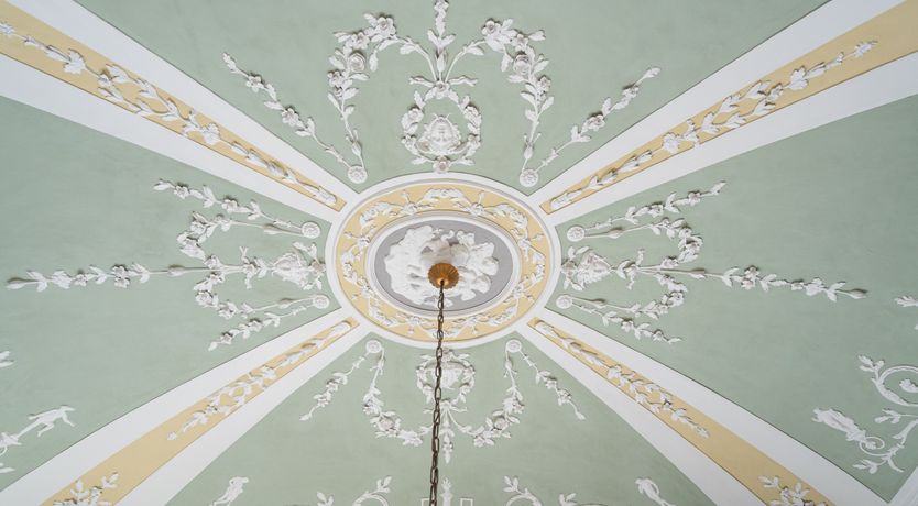 Photo of Pastel Enchantment