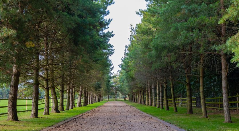 Photo of Hockwold Hall