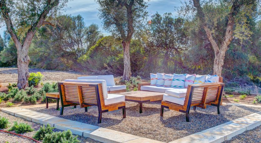 Photo of Blue Sea Breeze