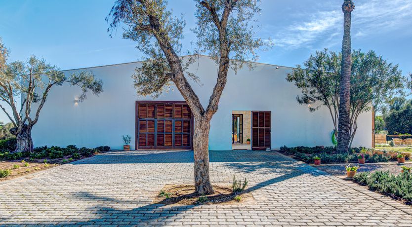 Photo of Blue Sea Breeze