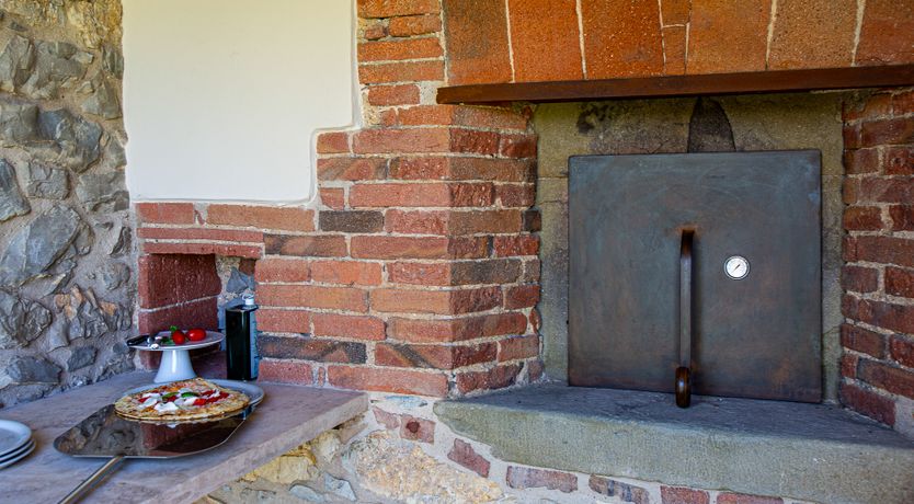 Photo of Paolo's Vine