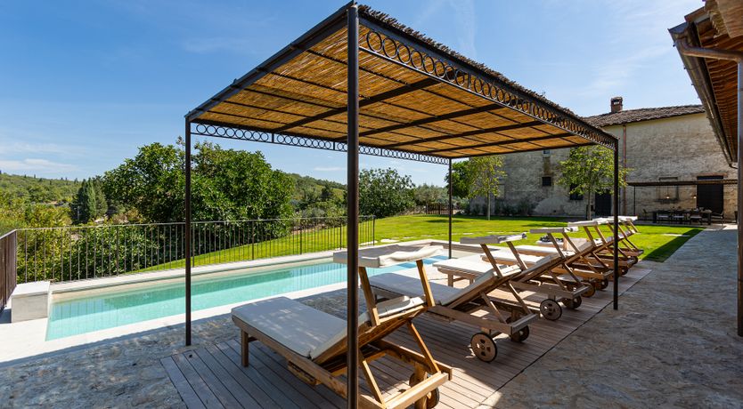 Photo of Paolo's Vine