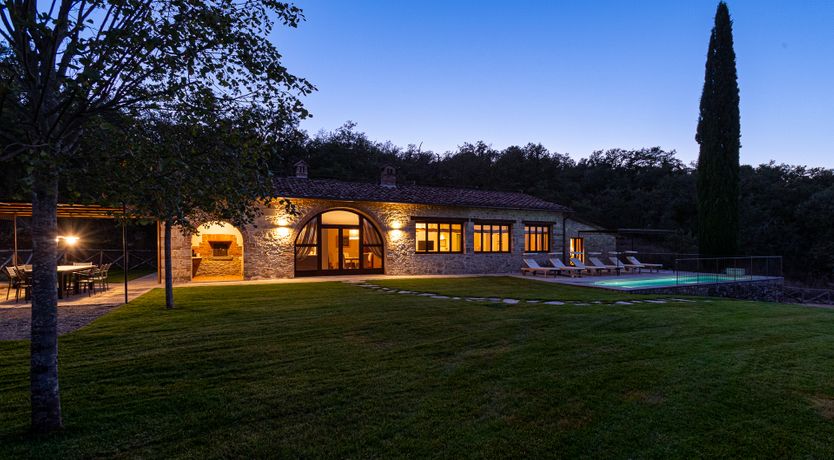 Photo of Paolo's Vine