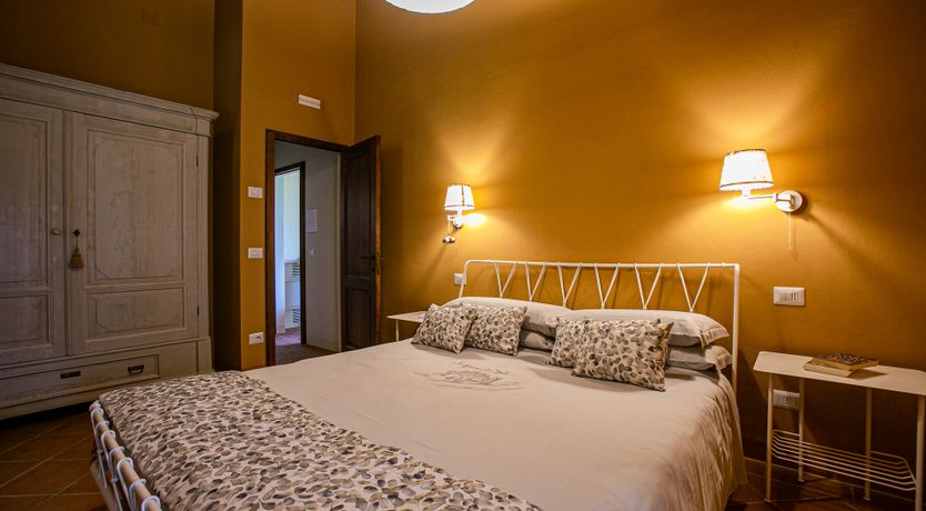 Photo of Paolo's Vine