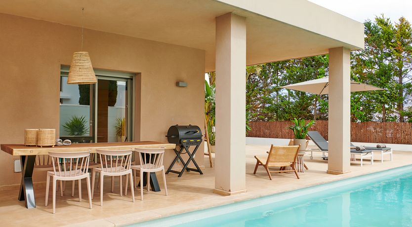 Photo of Sweet Clover