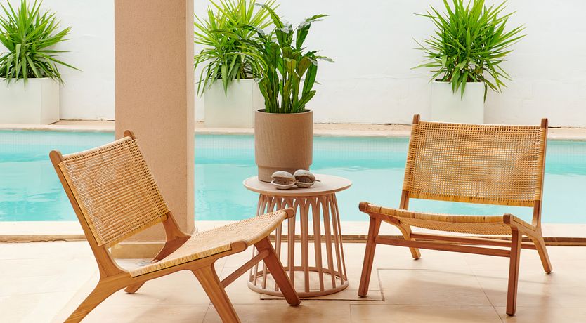 Photo of Sweet Clover