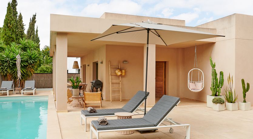 Photo of Sweet Clover