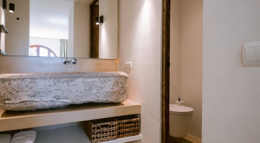 Photo of Hibiscus & Agave