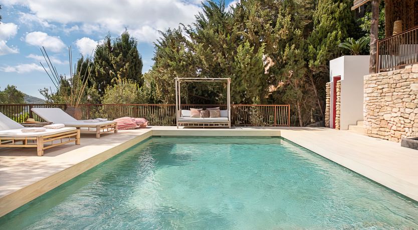 Photo of Hibiscus & Agave